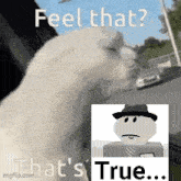 Feel That That'S True Cloaked True GIF