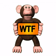 wtf sticker monkey wtf what%27s going on what%27s happening