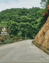 a road going through a forest with trees on both sides of it .