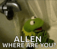 a kermit frog in a bathtub with the words allen where are you written on the bottom