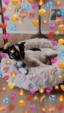 Snapchat Dog GIF - Snapchat Dog Emoji GIFs