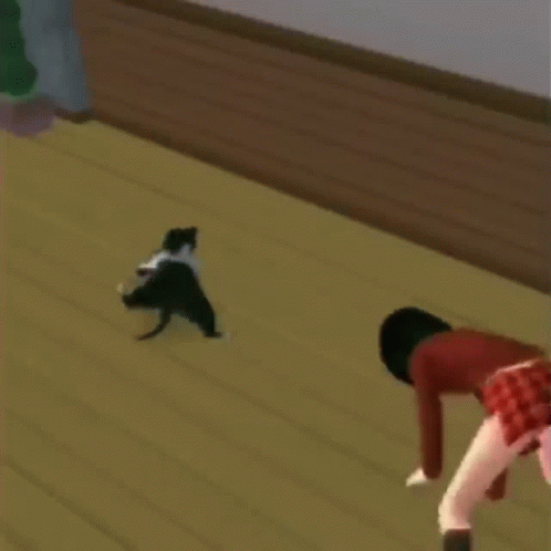 breakdancing cat gif