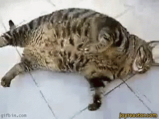ate too much gif