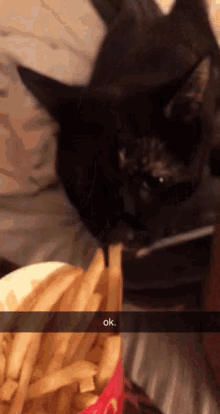 Cat Funny Cat GIF - Cat Funny Cat Thievery GIFs
