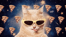 Pizza Cat With Glasses. GIF