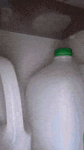 Jaxon Fridge GIF - Jaxon Fridge Milk GIFs