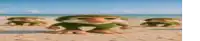 a group of gnomes are standing on a sandy beach .