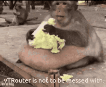 Vtrouter Monkey GIF - Vtrouter Monkey Vtrouter Is Not To Be Messed With GIFs