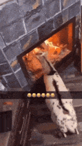 a dalmatian dog is sitting in front of a fireplace .