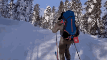 Skiing Ludvigwang GIF - Skiing Ski Ludvigwang GIFs