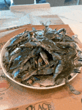 a plate of blue crabs sits on a placemat that says place
