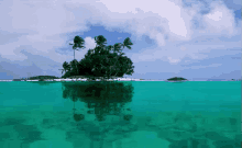 Island GIF - Island Island Life Palm Trees GIFs