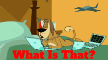 Johnny Test Dukey GIF - Johnny Test Dukey What Is That GIFs