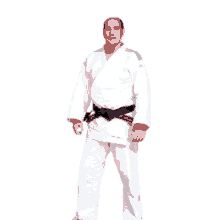 Hector Judo GIF