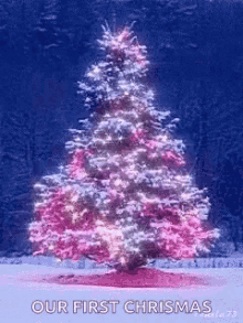 Christmas Tree Spinning GIF - Christmas Tree Spinning Christmas Light GIFs