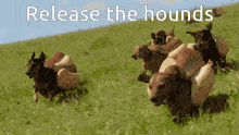 a bunch of dogs are running in a field with the words release the hounds written above them