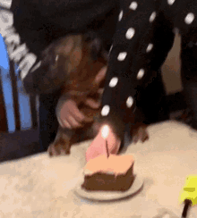 Birthday Cake GIF - Birthday Cake Brindle GIFs