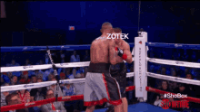 two boxers are fighting in a boxing ring and the word zotek is visible on the screen