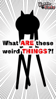 What Weird Things GIF - What Weird Things Cat Head GIFs
