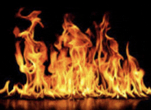 a close up of a fire with a black background