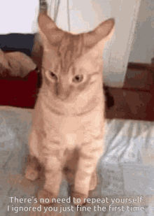 No Need To Repeat Ignored GIF - No Need To Repeat Ignored Cat GIFs