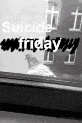 a black and white photo of a pigeon in front of a window with the words suicide friday written on it