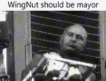 Wingnut Mayor GIF - Wingnut Mayor Preyton11 GIFs