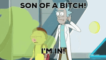 Rick And Morty Son Of A Bitch GIF - Rick And Morty Son Of A Bitch Im In GIFs