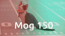 Mog Mogcat GIF - Mog Mogcat 150 GIFs