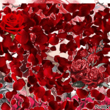 a girl is surrounded by red roses and petals with a butterfly
