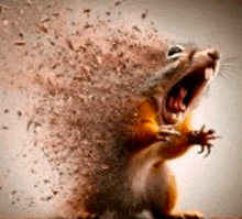 a squirrel with its mouth open and a lot of nuts coming out of it 's mouth .