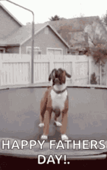 Fathers Day Funny GIF - Fathers Day Funny Dog GIFs
