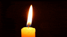 Candle Burning GIF - Candle Burning GIFs