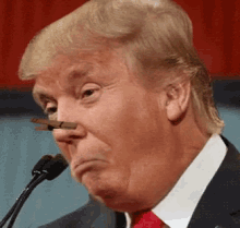 Trump Gross GIF - Trump Gross Smelly GIFs