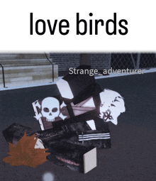 a strange adventurer laying on the ground with the words love birds