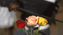 Roses Cutting Roses GIF - Roses Cutting Roses Gardening GIFs
