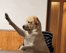 a dog is sitting at a table with its paw in the air