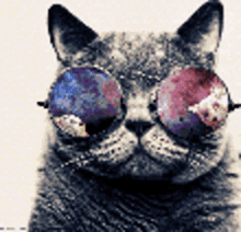 sup girl cat galaxy glasses