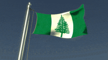a green and white flag with a tree on it is waving in the wind