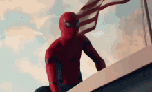 Realspidey5 Spiderman GIF