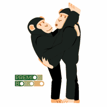 bonobo bonobos premiosbonobo mono monos