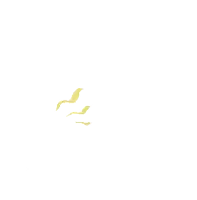 a white background with a few yellow lines coming out of it