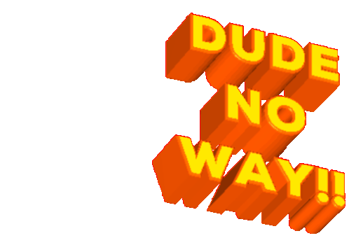 Dude No Sticker - Dude No Way Stickers