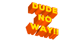 Dude No Sticker - Dude No Way Stickers