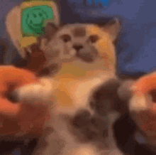 Fatass Calico Cat Dancing GIF - Fatass Calico Cat Dancing GIFs