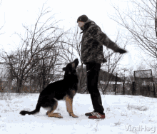 Jump Rope Dog Tricks GIF - Jump Rope Dog Tricks Animal Tricks GIFs