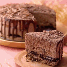 a slice of chocolate cake is on a plate next to a cake