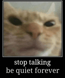 Stop Talking Shut Up GIF