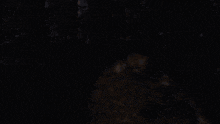 Trout Population GIF - Trout Population GIFs