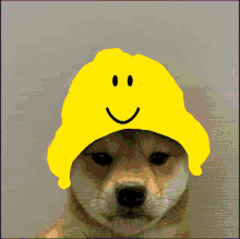 Rainbow Dog Smile Roblox Smile Rgb GIF - Rainbow Dog Smile Roblox Smile Rgb GIFs